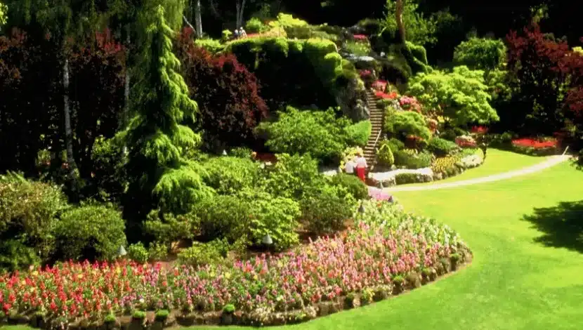 Walnut Grove Landscaping Estimating